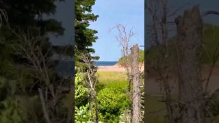 Cavendish beach from our tent