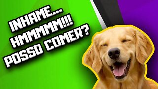 Cachorro pode comer Inhame? | Dr. Edgard Gomes | Alimentação natural para Cães