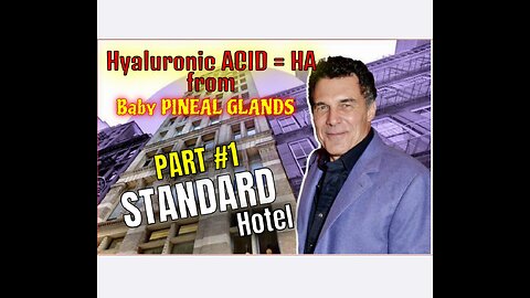 PART #1: WTF Actually Happened at the STANDARD HOTEL?