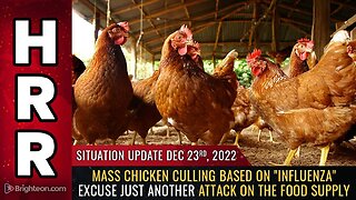 Mike Adams Situation Update, Dec 23, 2022 - Mass chicken culling based on "influenza" excuse just another attack on the FOOD SUPPLY - Natural News