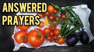 Prayers Answered! - Ann's Tiny Life and Homestead