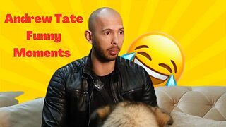 Andrew Tate Funny Moments (Part 1)