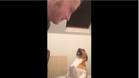 Jealous dog wants all the kisses for himself