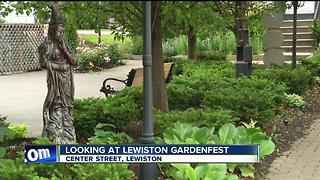 Looking at the 12th annual Lewiston GardenFest