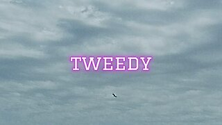 TWEEDY!