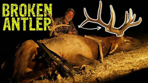 Bull Elk SHATTERS Antler!