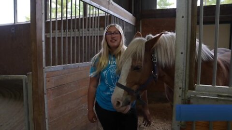 Elevate Equine Assisted Therapy in DeWitt is getting in the spooky spirit