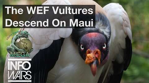 The WEF Vultures Descend On Maui