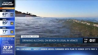 City of Venice approves 1-year trial for daytime alcohol consumption at beaches