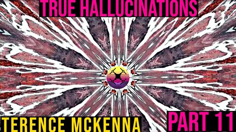 Terence McKenna - True Hallucinations Audiobook - Part 11