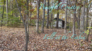 Fall at the Cabin