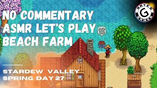 Stardew Valley No Commentary - Family Friendly Lets Play on Nintendo Switch - Spring Day 27