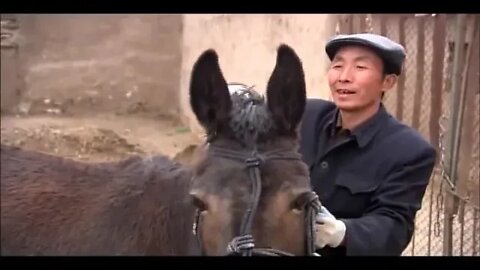 Documentary film "Huangyangchuan" 2008 a unique documentary. Fragment6