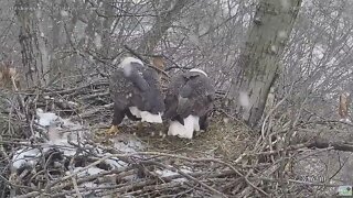 Hays Eagles play ring around the stick 2022 02 08 857