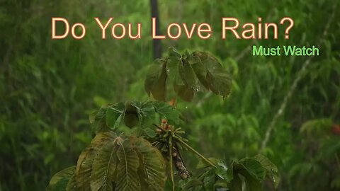 Natural Rain and Storm Journey | Ultimate Stress Relief | Serene Rainy Scenes