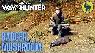 Badger, Mushroom Transylvania | Way of the Hunter (PS5 4K)