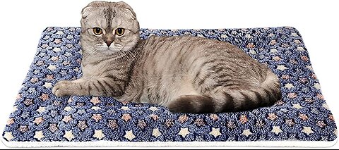 Mora Pets Ultra Soft Pet (DogCat) Bed with Cute Prints Reversible Fleece Crate Bed Mat