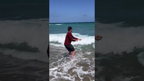 Shark Caught and Released in the Florida