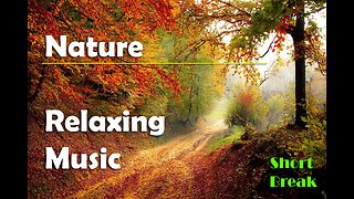 Nature Relaxing Music - Short Break