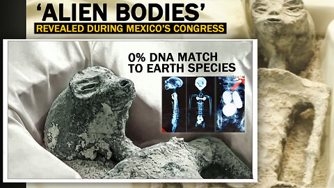 Mexico Aliens - 2023 Congress Hearing Reveal Two Aliens, Bodies, DNA, Xray Results Shows Eggs Inside