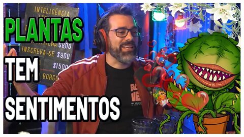 Plantas tem Sentimentos? - Nerds também cuidam de Plantas? Erico Borgo Cuida de Uma Planta a 14 Anos