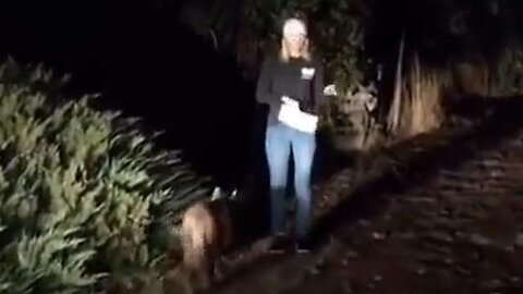 Mountain Lion walks past reporter live on the air. She thinks its a dog...🦁