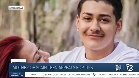Mother makes appeal after teenage son stabbed to death at Chula Vista party