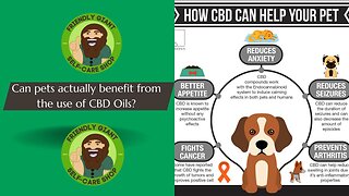 Can our pets benefit from the use of CBD?