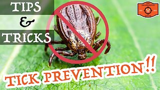 The BEST Way to Prevent Ticks!