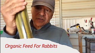 Organic Feed For Rabbits
