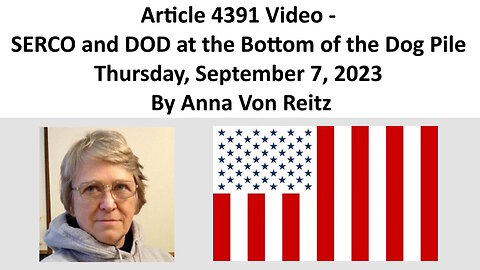 Article 4391 Video - SERCO and DOD at the Bottom of the Dog Pile By Anna Von Reitz