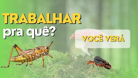 O Que o TRABALHO faz com o homem? Lição - (A Fábula da Cigarra e a Formiga)