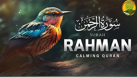 Surah Al Rahman || Beautiful Quran Recitation