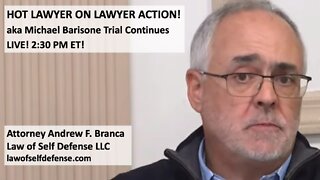 HOT LAWYER ON LAWYER ACTION! aka Michael Barisone Trial Continues