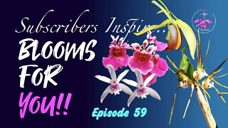 SUBSCRIBERS INSPIRE| You color my life | Blooms for YOU! Episode 59 🌸🌺🌼💐#Orchids #OrchidsinBloom