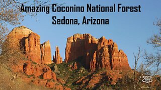 Camp, Hike, Fish, and Explore Coconino National Forest in Sedona Arizona