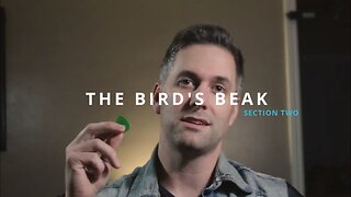 THE BIRD'S BEAK