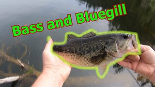 Bass And Bluegill Fishing in a Secret Lake