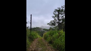 4x4 Kauai to Jurassic Park Gate