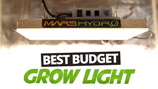 The Best Budget Grow Light You Can Buy - Mars Hydro TS 1000 Review