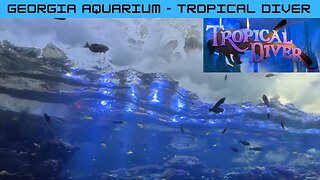 The Georgia Aquarium: Tropical Diver Exhibit