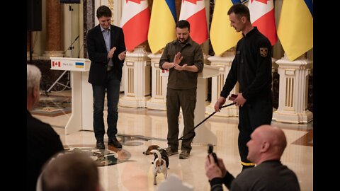 Zelensky decorated the army service dog in the presence of Castro Jr. Turdeau