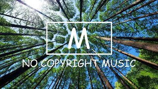 LAKEY INSPIRED - Island （Mm No Copyright Music）