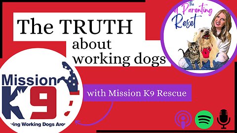 The TRUTH About Military & Contractor Working Dogs with Mission K9 Rescue