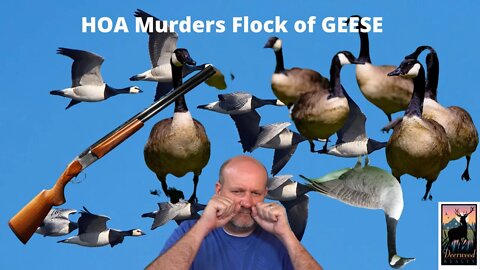 HOA says GEESE not welcome here….Deerwood Realty and Friends…Ep. 45