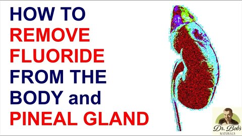 Remove Fluoride From The Body and Pineal Gland