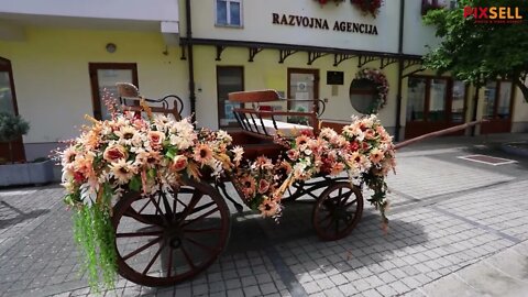 Cvjetna razglednica zamirisala u dvorištu Obrtničkog centra u Karlovcu