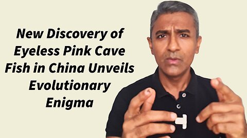 New Discovery of Eyeless Pink Cave Fish in China Unveils Evolutionary Enigma