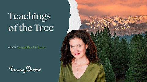 Teachings of the Tree
