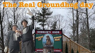 The Real Groundhog Day 5K: A Fun and Festive Race Experience!